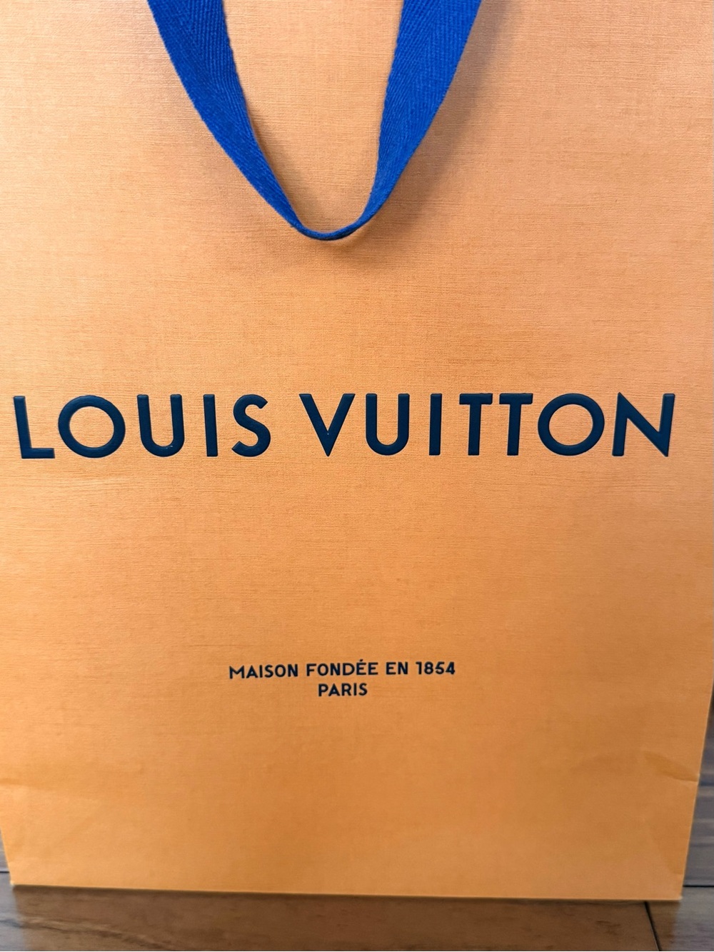 Louis Vuitton Luxury Boutique Shopping Bag — Iconic Orange & Blue💙🧡 - Picture 2 of 11